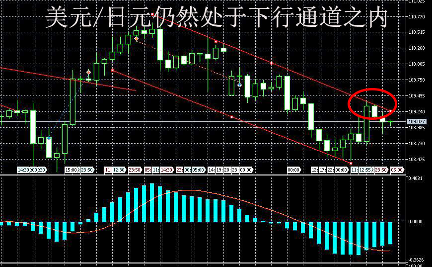 iqoption