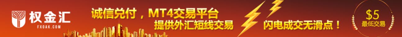 权金汇