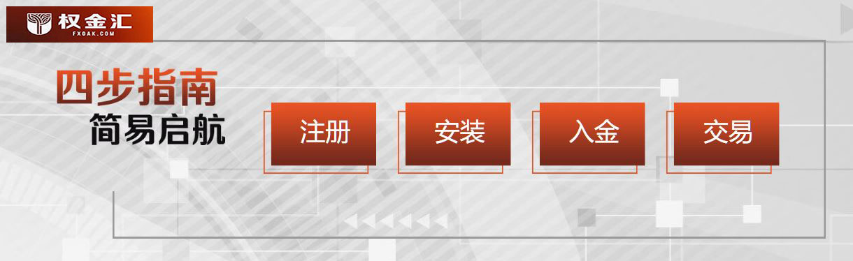 权金汇